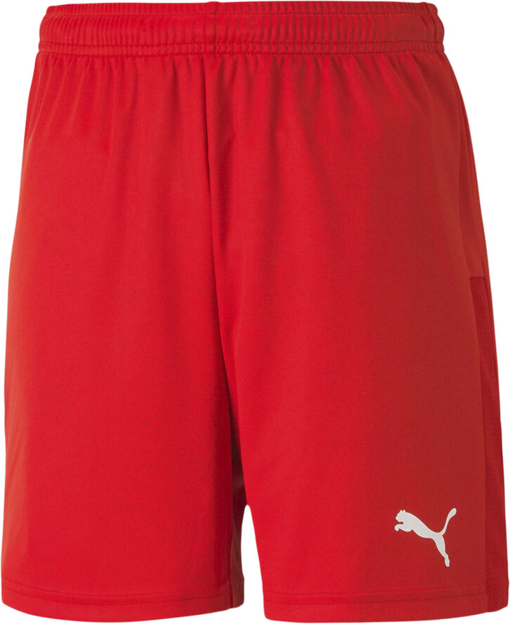 Puma Teamgoal 23 Knit shorts Rød