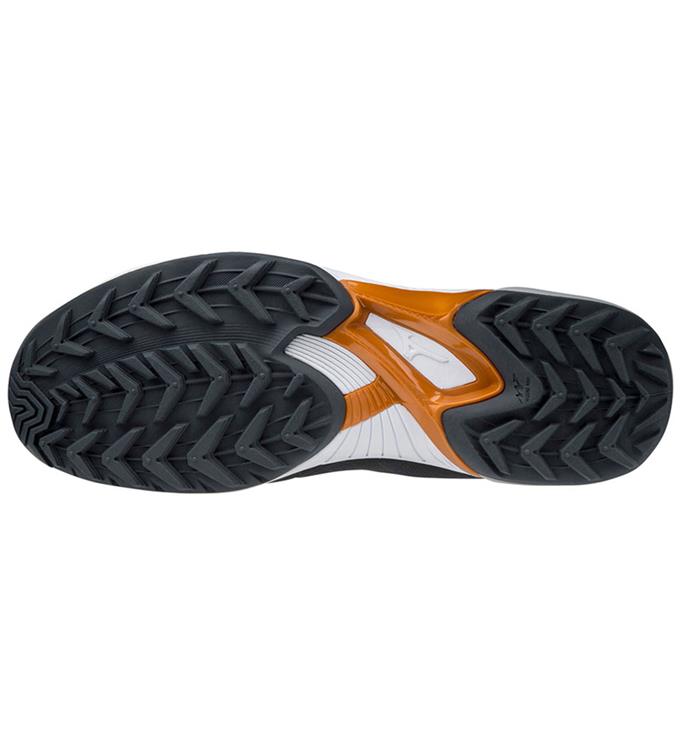 Mizuno Wave Panthera Hockeyschoenen