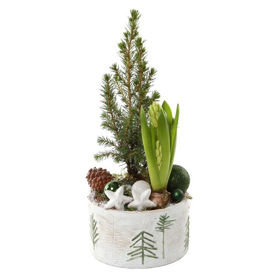 Jacinthe et Picéa décoration de noël D16