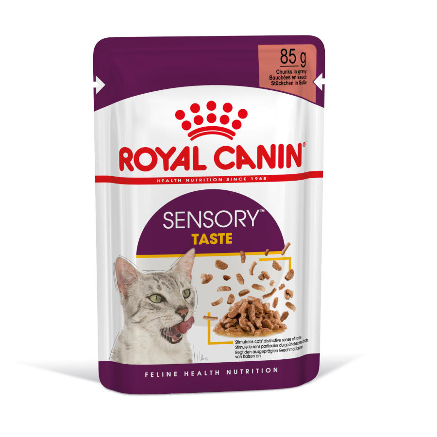 Sachê de molho sensorial Royal Canin Adult para gatos