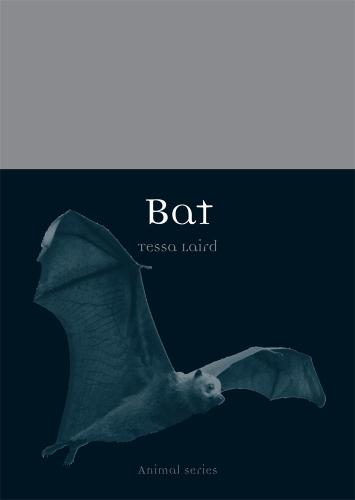Bat - Animal (Paperback)
