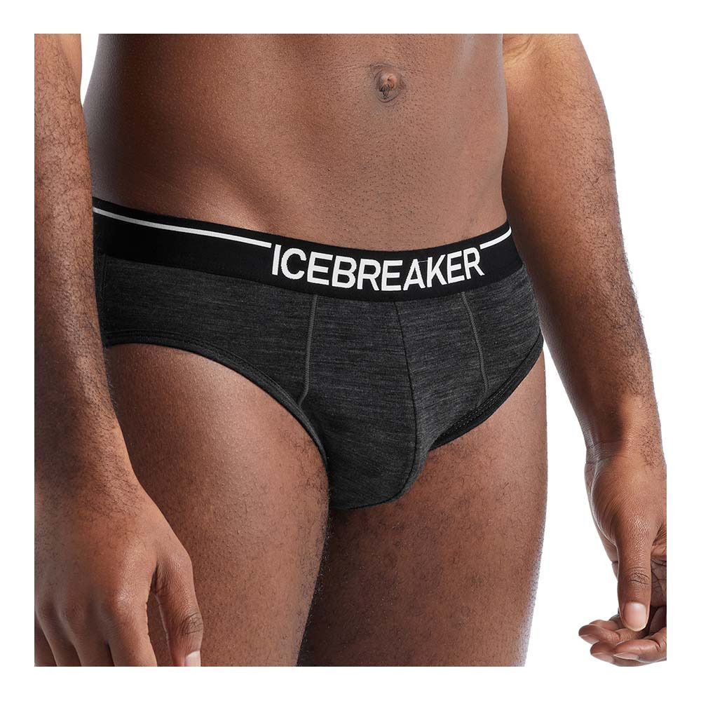 Icebreaker ANATOMICA MERINO - Slip Homme jet hthr