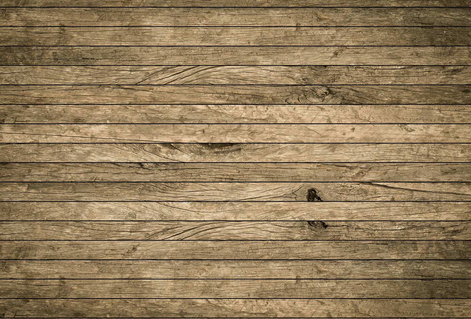 Fototapete DESIGNWALLS 2.0 - Holz - braun - 2,6 Meter