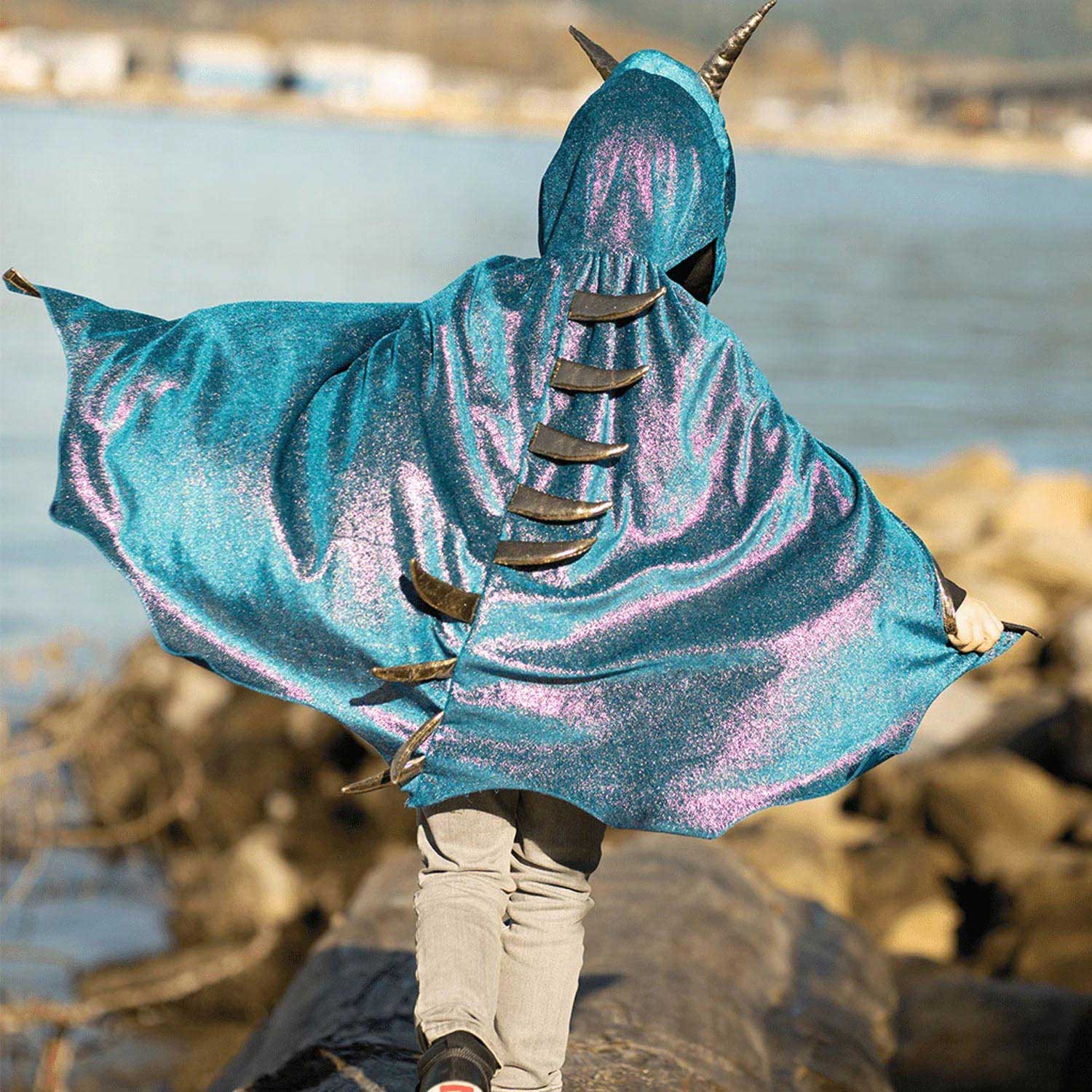 Cape Draak met Vinnen Blauw, 5-6 jaar