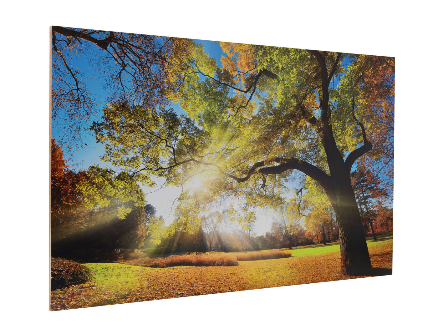 Hochwertiges Kunstdruck Bild