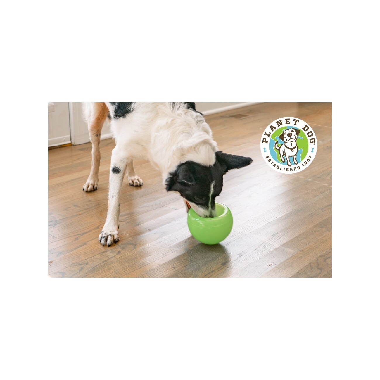 Planet Dog Snoop Hundespielzeug