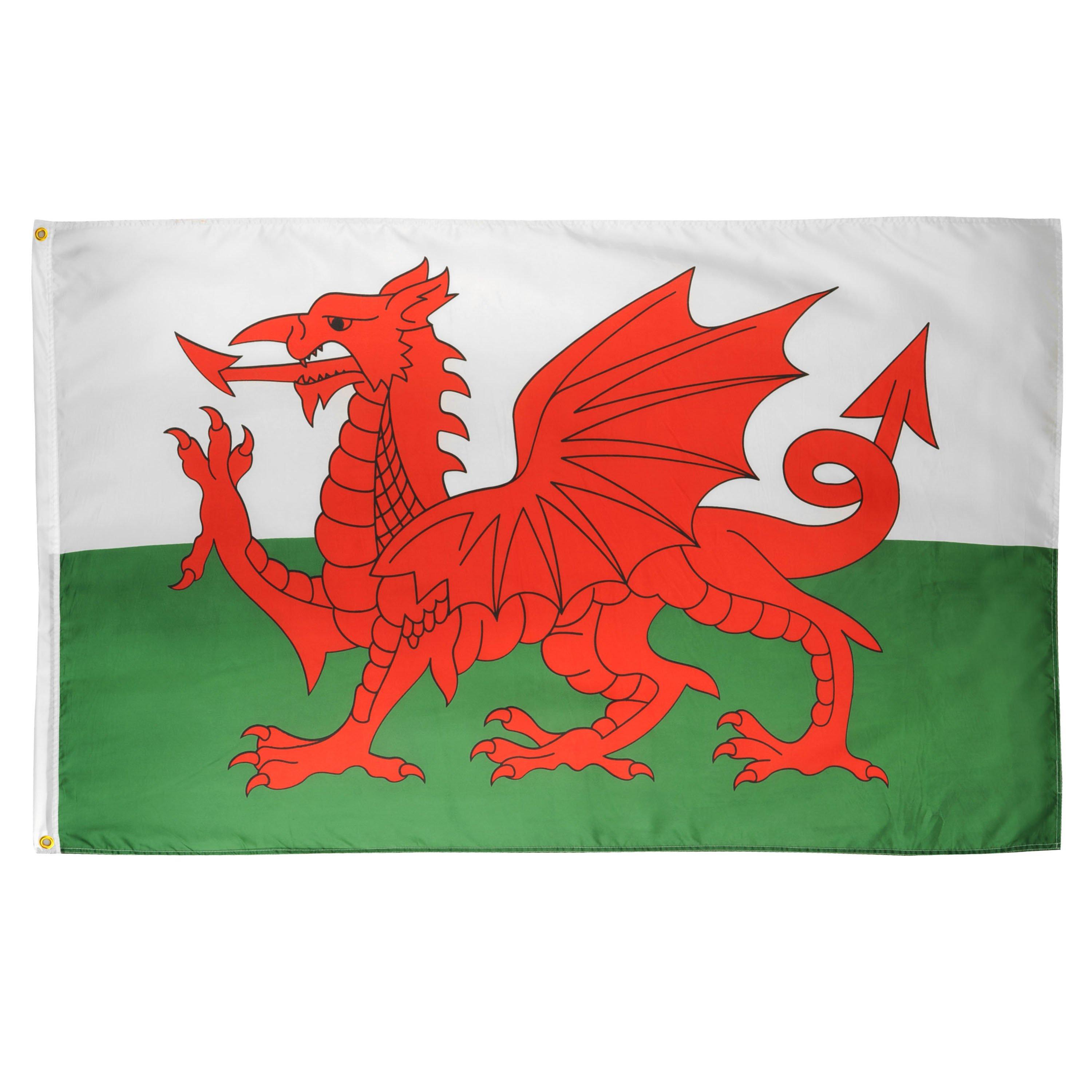 Team National Flag
