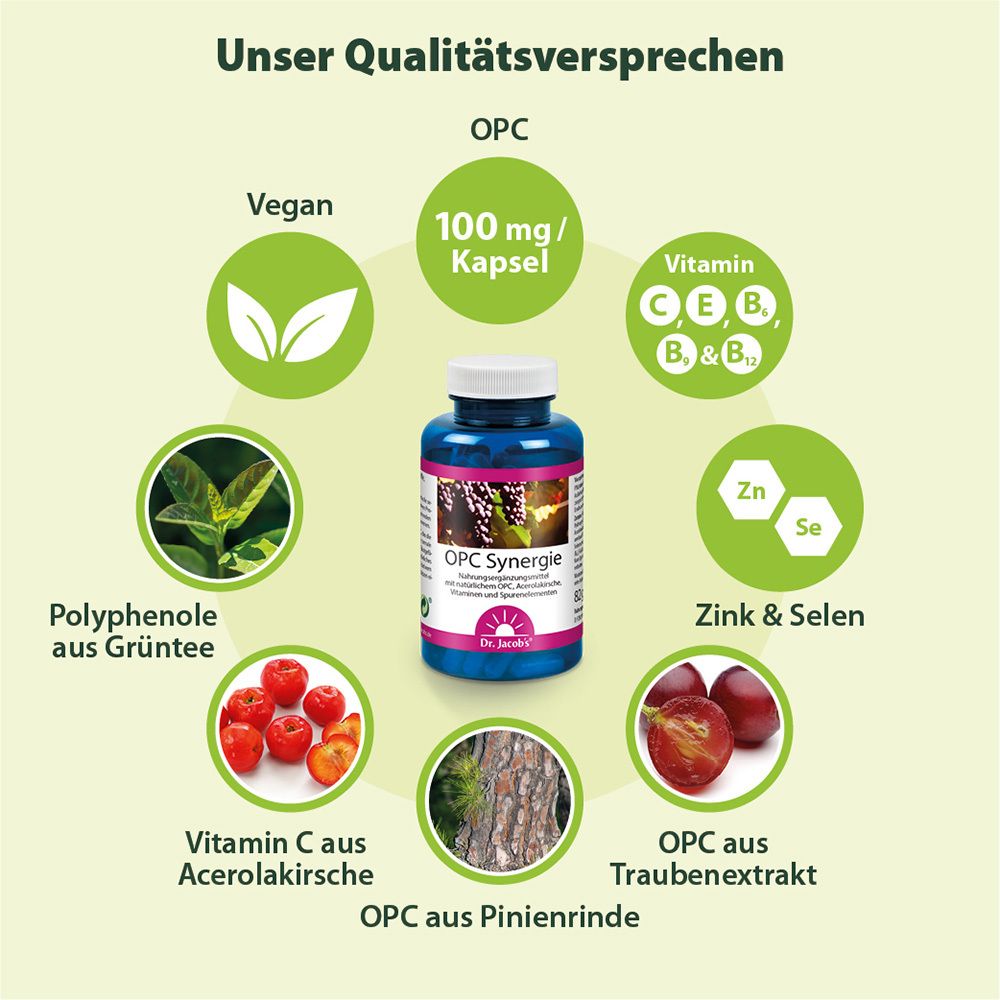 Dr. Jacob's OPC Synergie Traubenkernextrakt + Grüner Tee + Vitamin C aus Acerola