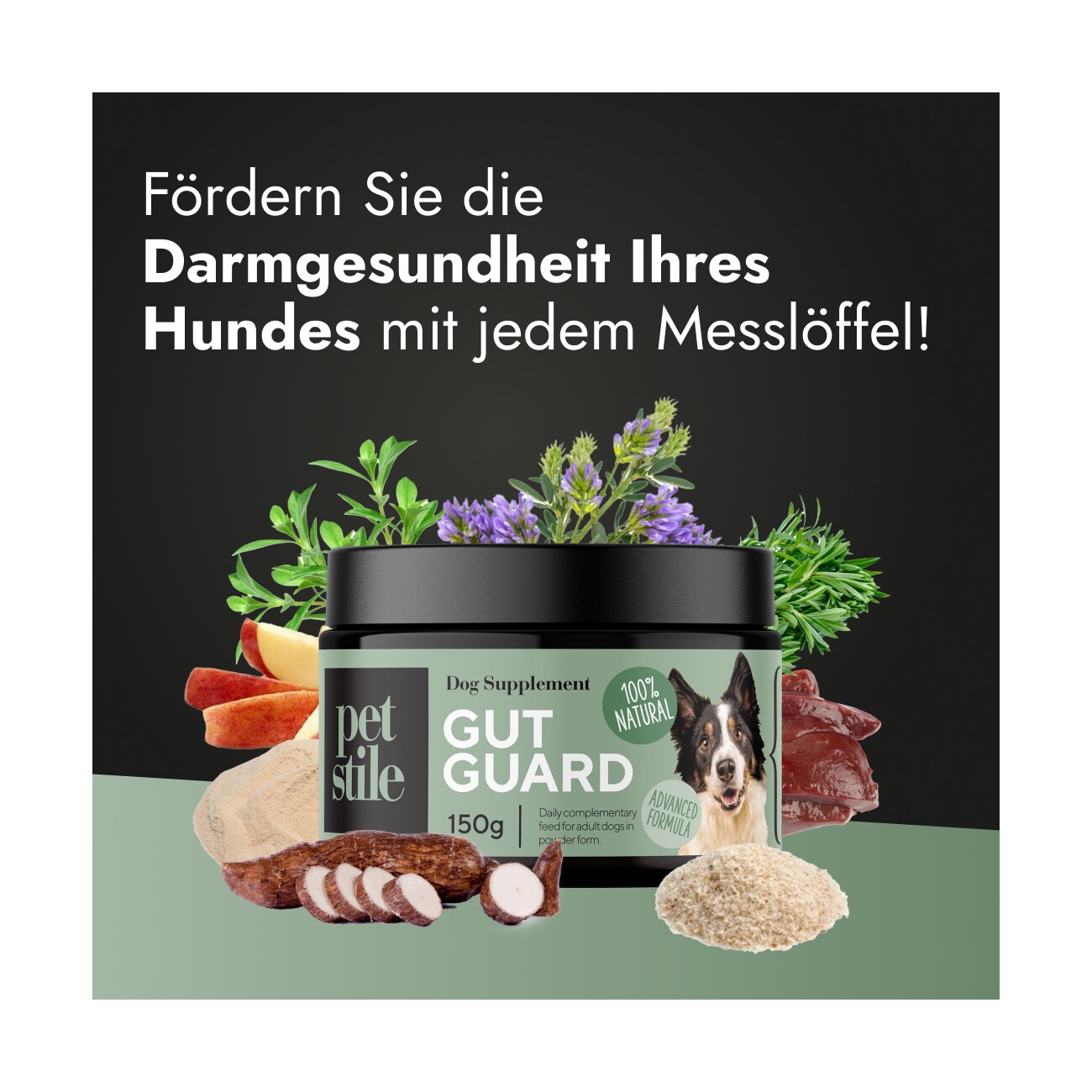 Petsy Labs Petstile Gut Guard 3 x 150g
