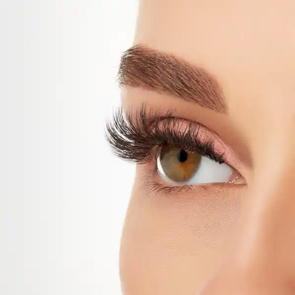 3D Faux Mink 858 Wimpern