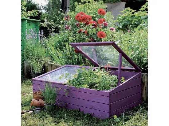Petite serre de jardin en bois