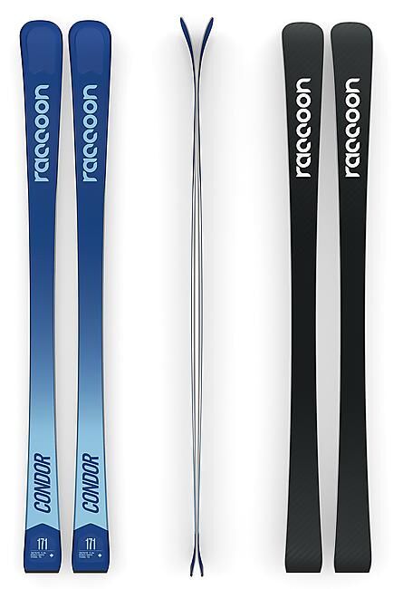 RACCOON - SKI PISTE CONDOR