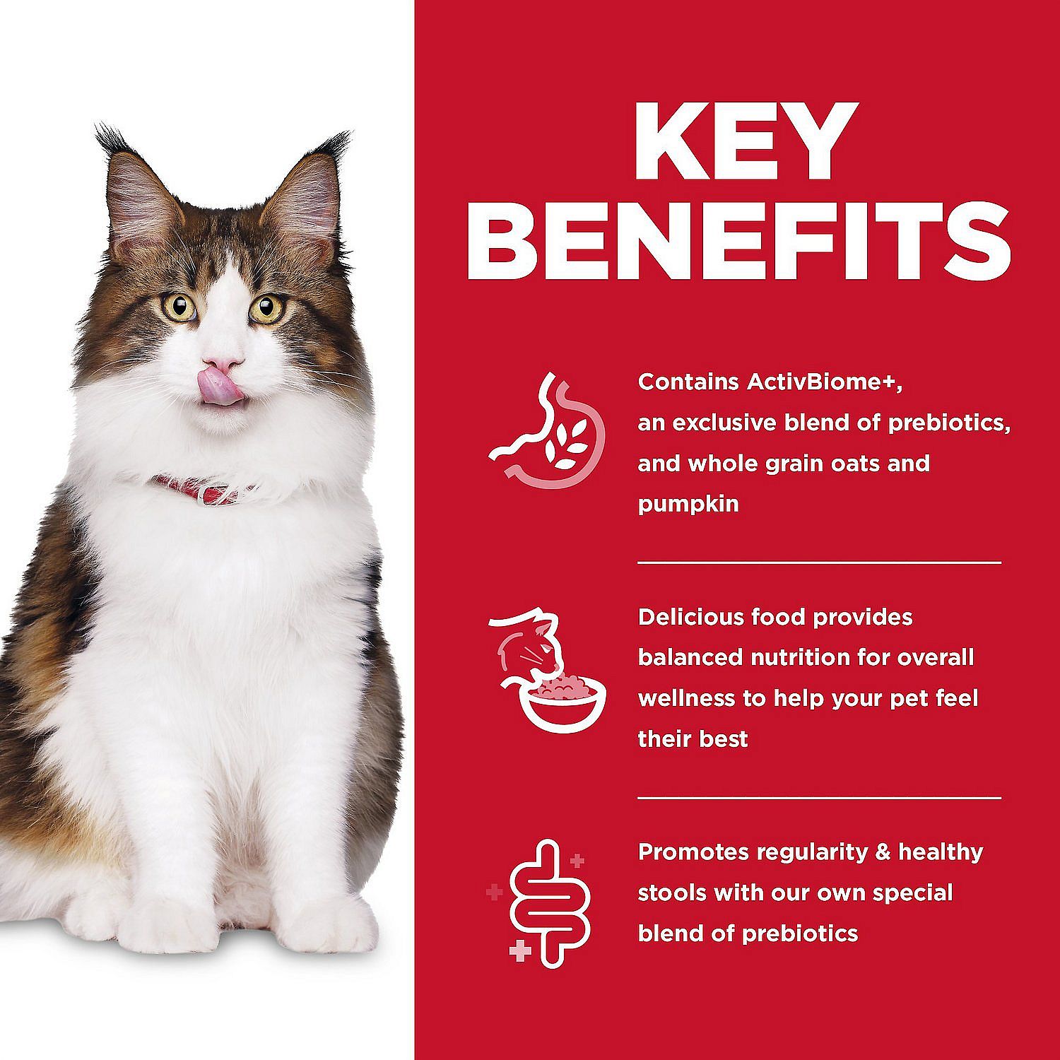 Hill's Science Plan Adult Perfect Digestion Kattenvoer 1.5 kg | 1.5 kg | 11803