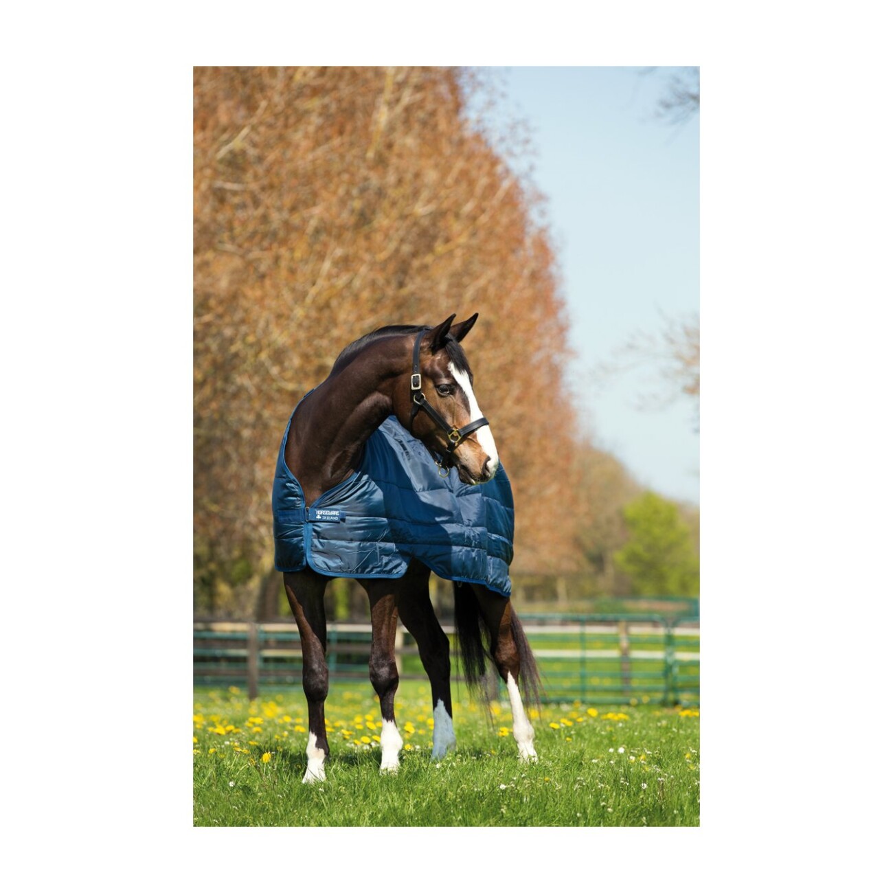Horseware Unterdecke Liner 100 g 1,15 m