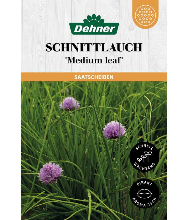 Dehner Saatscheiben Schnittlauch 'Medium