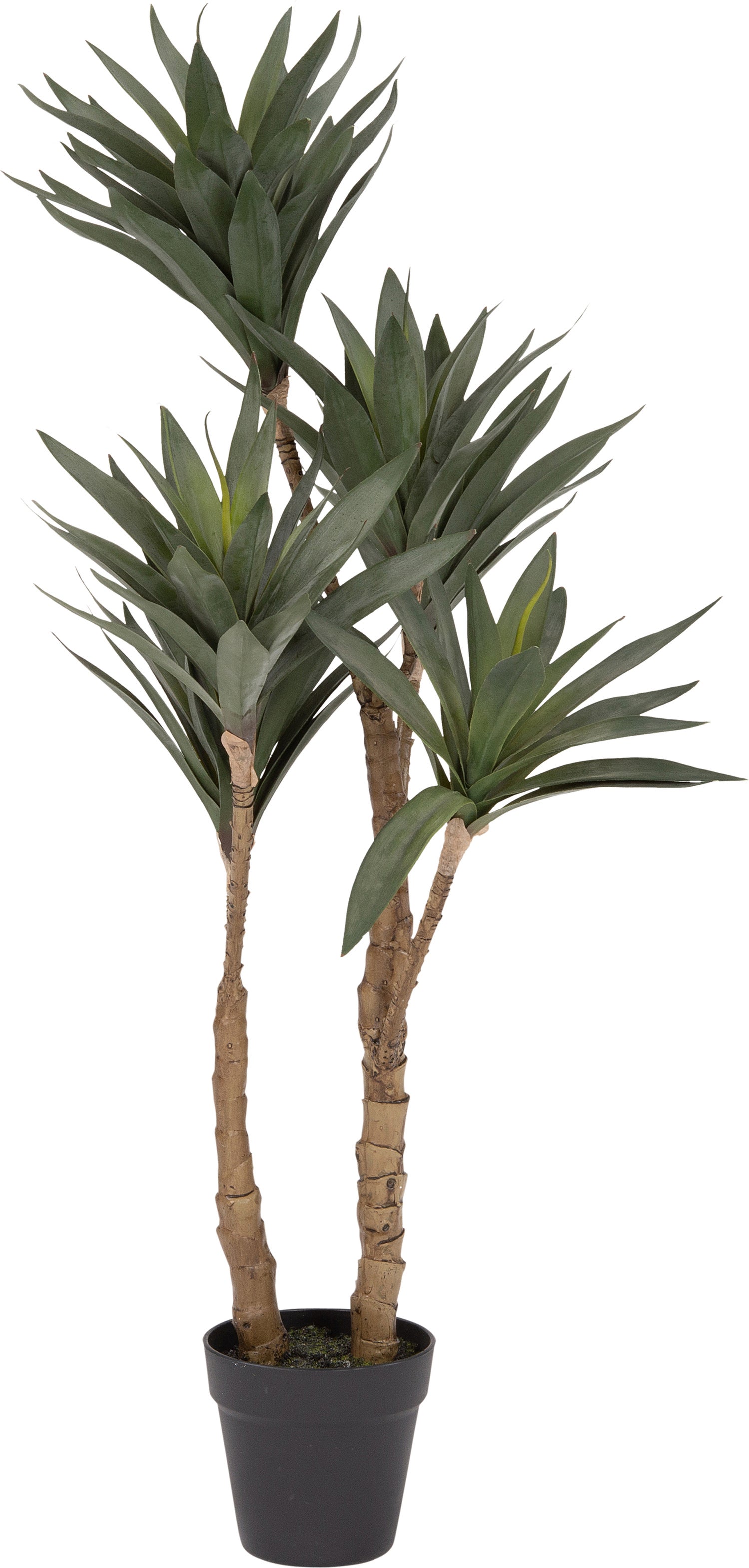 Intratuin kunstplant Drakenbloedboom 91 cm