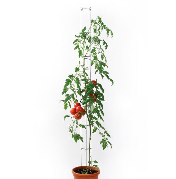 bellissa Metall-Tomatensäule, grün