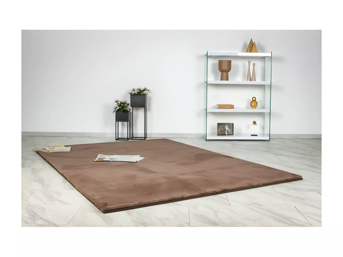 Tapis 170x120cm, design E005N coloris brun - Confort et élégance pour votre intérieur