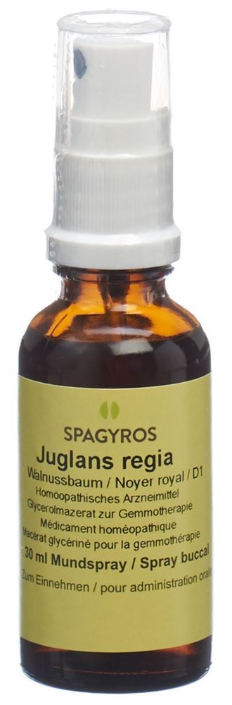 Spagyros Juglans regia 1 D<br>30 ml, Spray, Glycerinmazerat