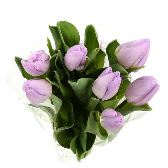 Botte 7 Tulipes H.40cm - Coloris variables