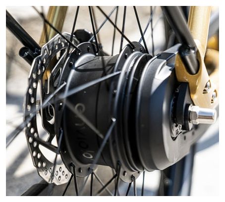 Vélo de Ville Électrique Reine Bike Cadre Bas Connecté Enviolo City CT 504Wh 26'' Or 2022