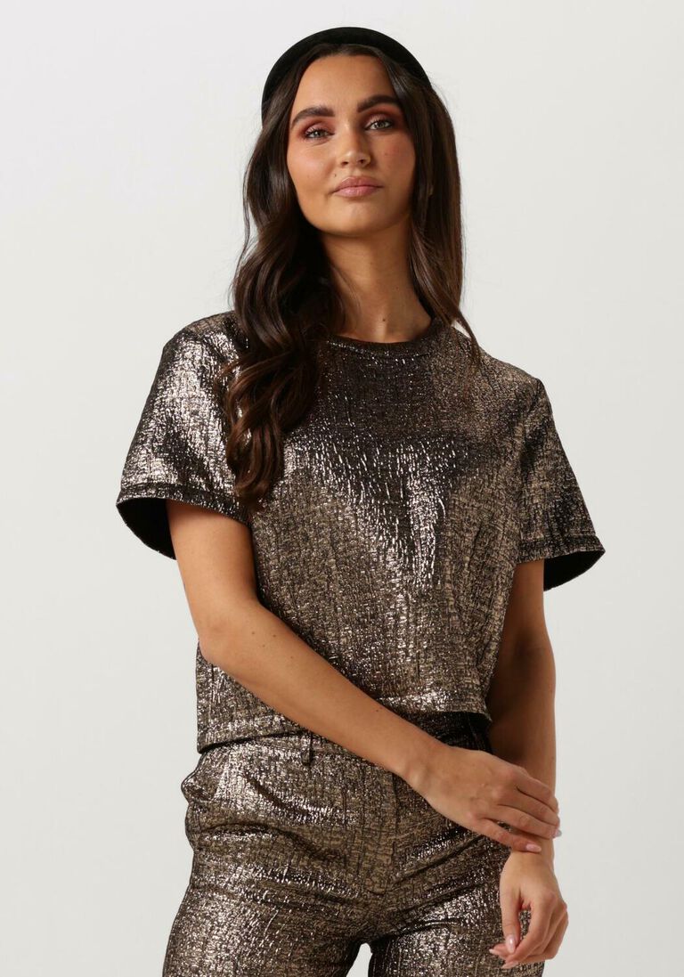 SELECTED FEMME gouden selected femme top slfviolet ss top ex