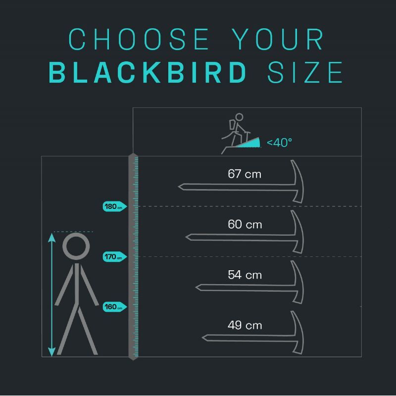 Blackbird - Piolet