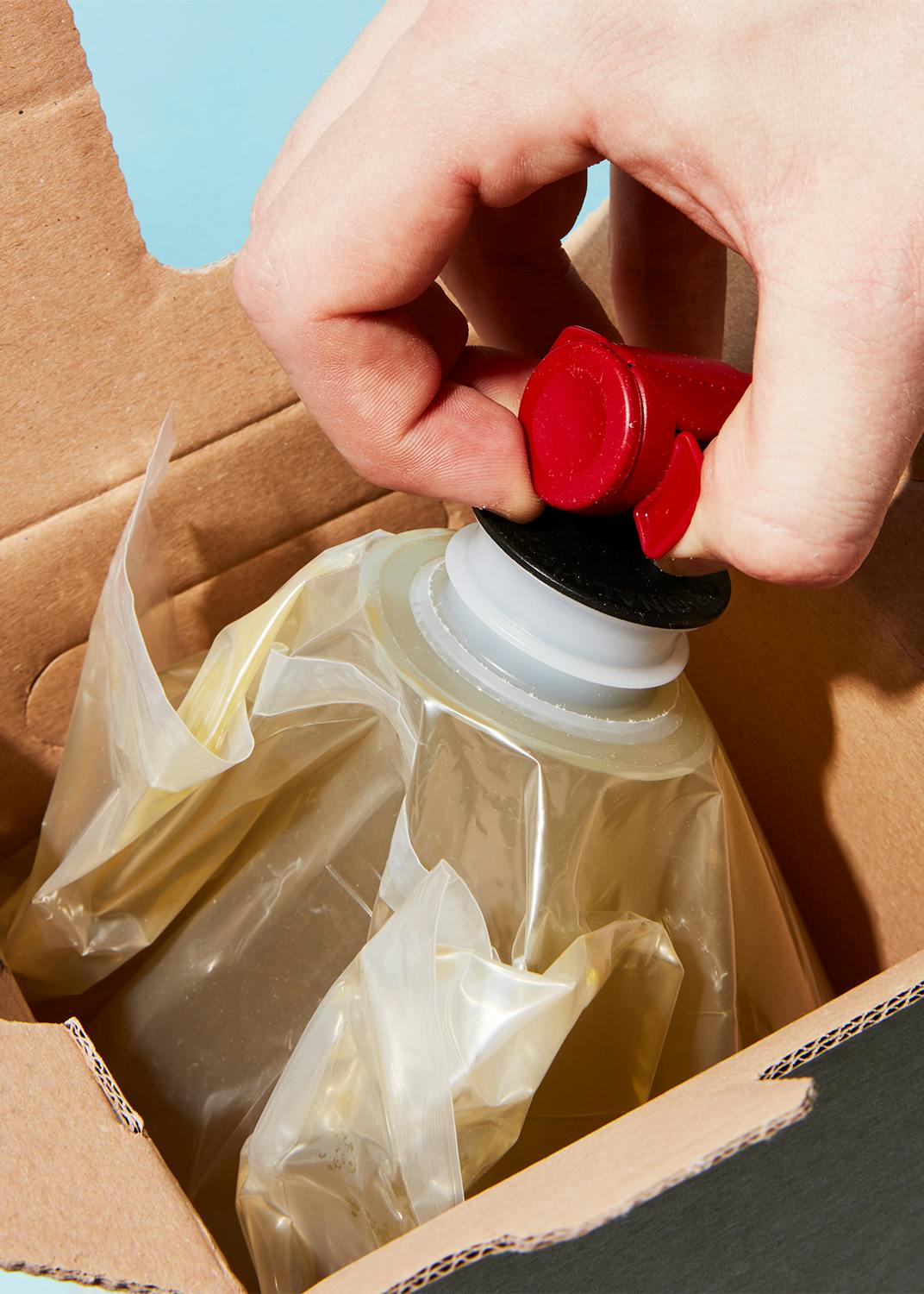 Bio Staudenselleriesaft mit Zitrone Bag-in-Box 3 L