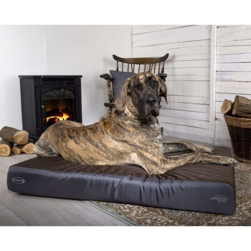 Colchão ortopédico para cães, marrom