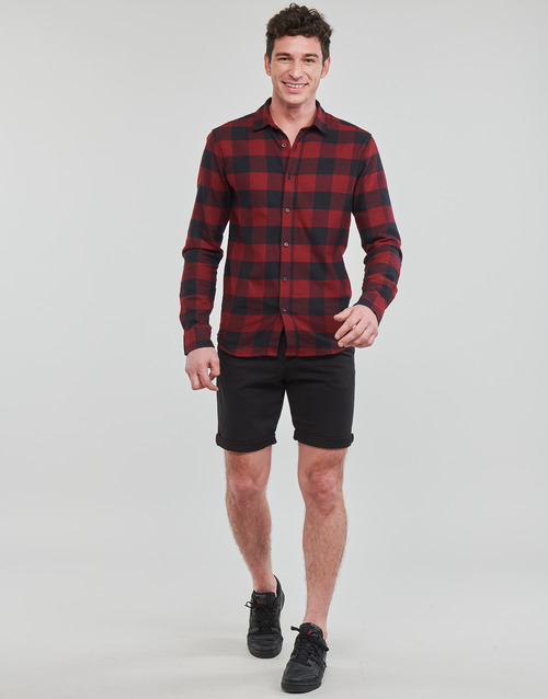 Jack & Jones - JPSTBOWIE Negro