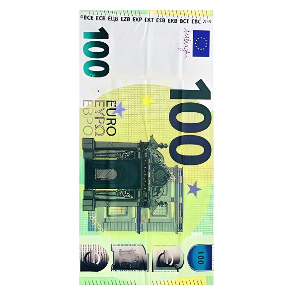 Casa de Praia Toalha de Praia Microfibra Nota 100 Euros 140 x 75 cm