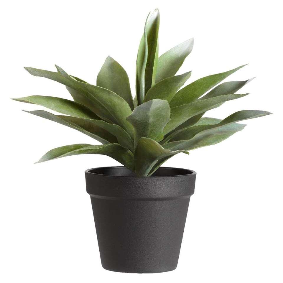 Kunstplant Agave in pot - 30 cm