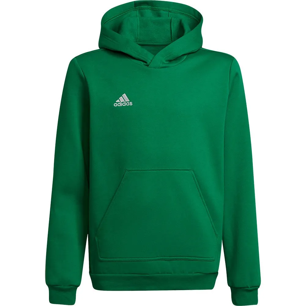 Moletom adidas Entrada 22