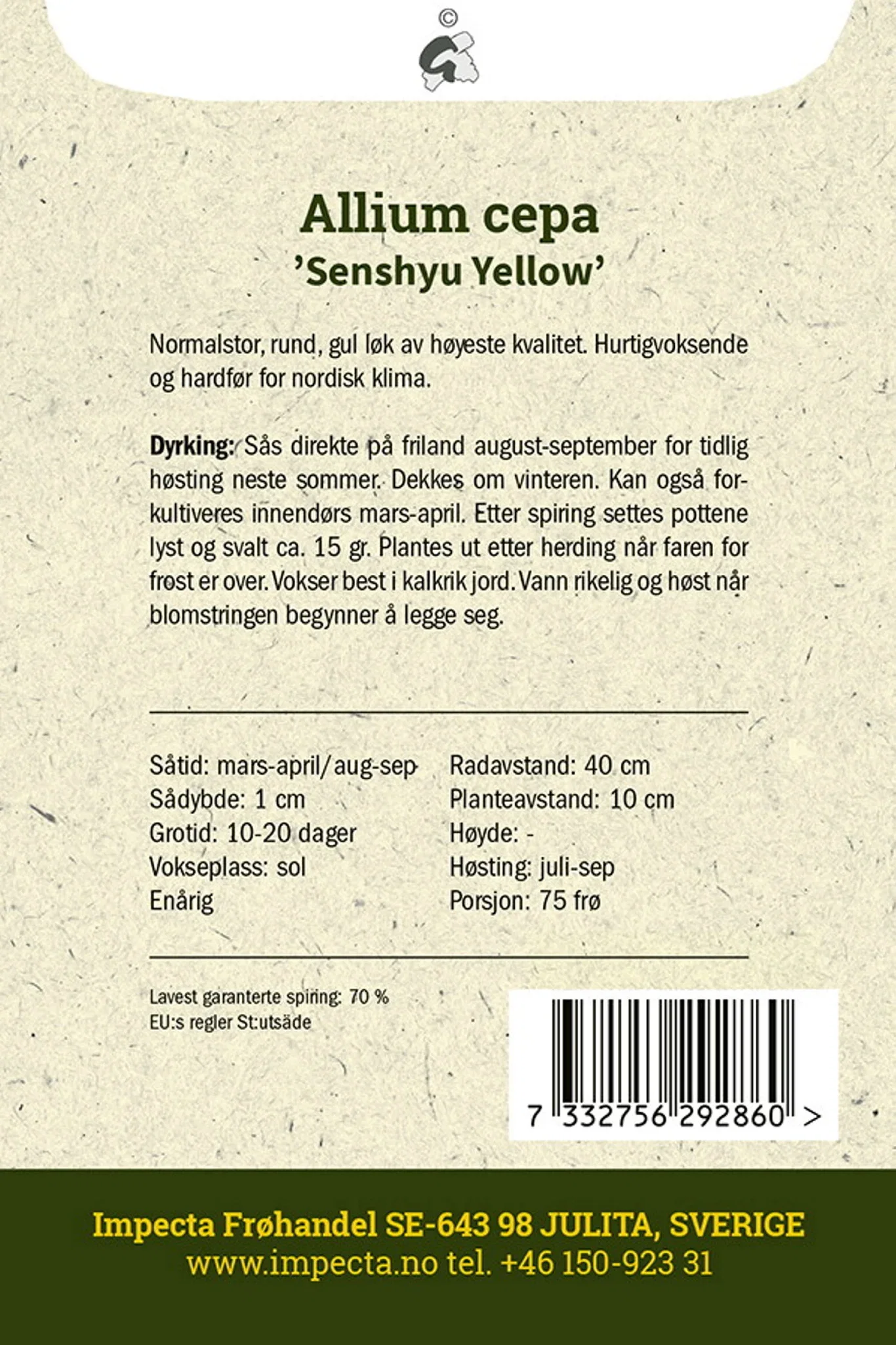 Allium cepa 'Senshyu Yellow' Vinterløk 'Senshyu Yellow'