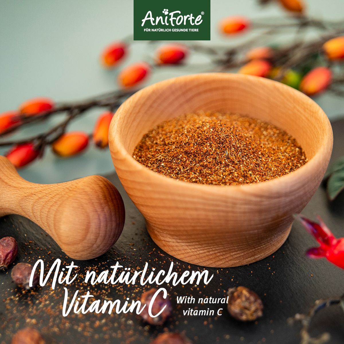 Aniforte Hagebutten Pulver