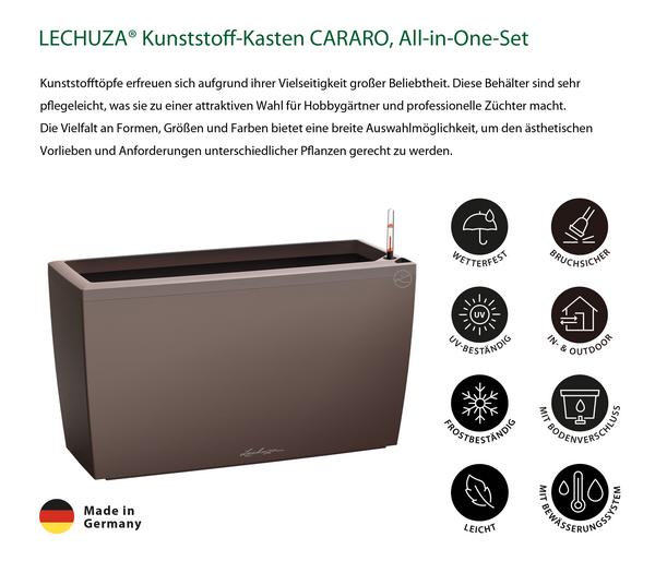 LECHUZA® Kunststoff-Kasten CARARO