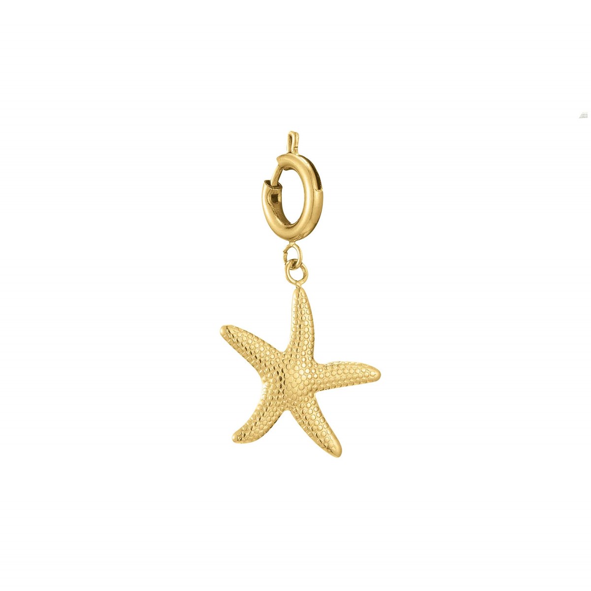 Charm étoile de mer acier doré or