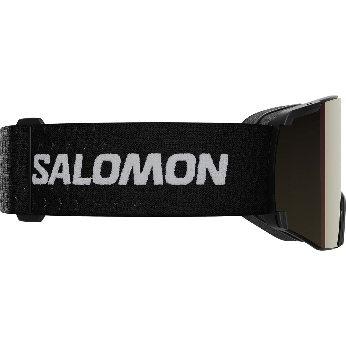 Salomon S/View Sigma Skibriller