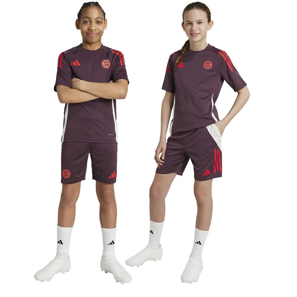 adidas FC Bayern Munich 24/25 Training Junior-Shorts