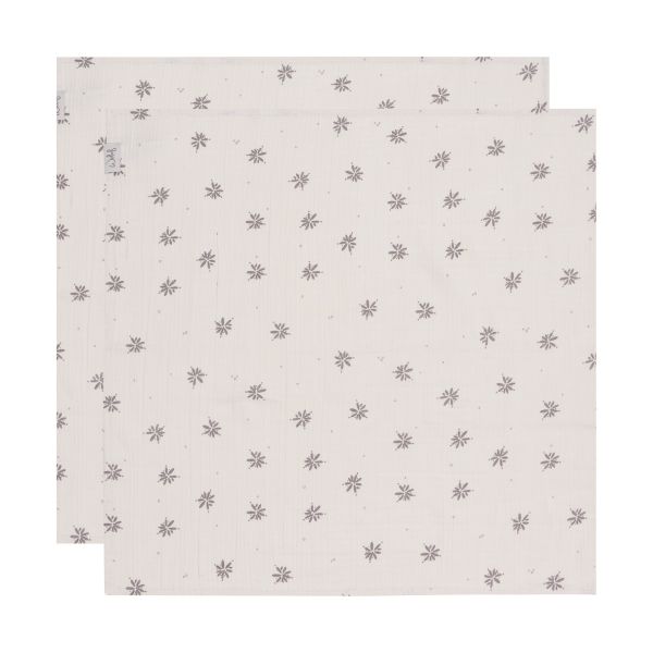 Witlof For Kids Hydrofiele Doek - Little Charm - 2-Pack - 65 x 65 cm