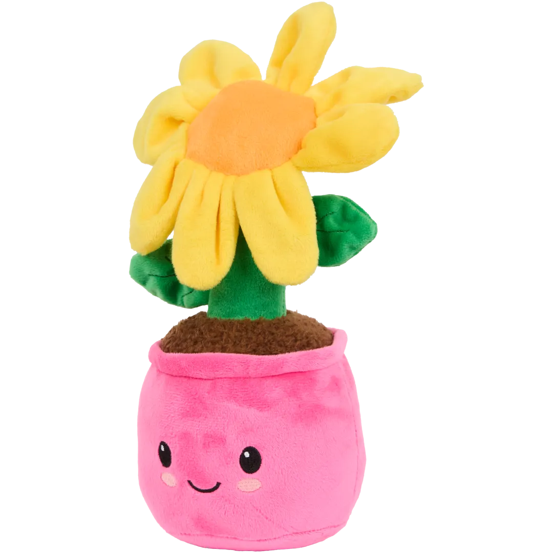 Pluchen plant in pot Diverse varianten