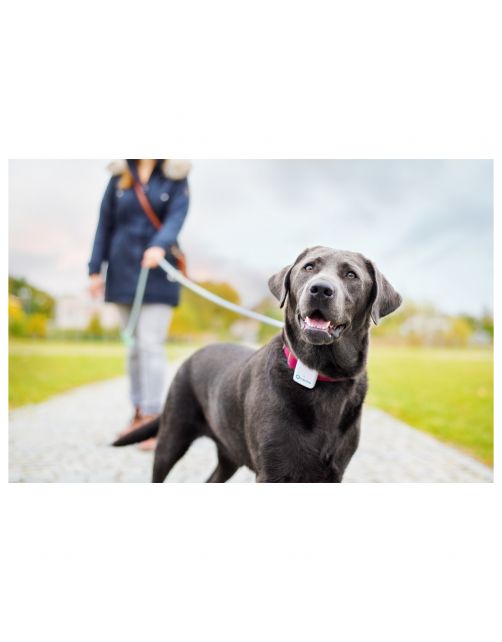 Tractive Gps Tracker Voor Honden En Katten - Hondenlocatievinder - 51x41x15 mm Wit
