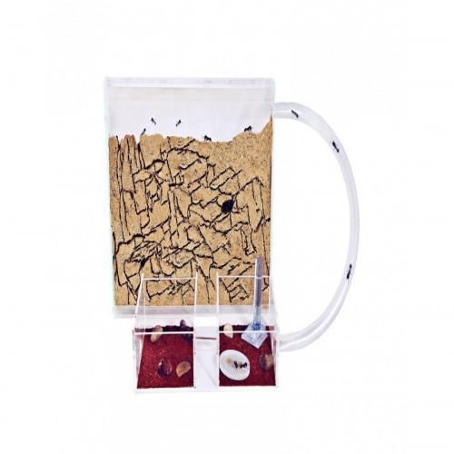 Kit para Formigueiro Médio Anthouse T-Acrylic