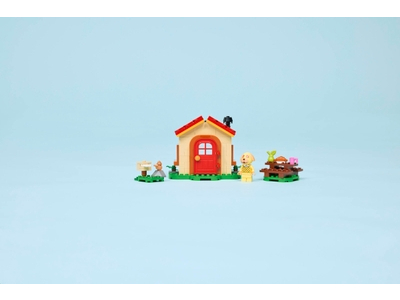 LEGO Goldies knusse huisje (77058)