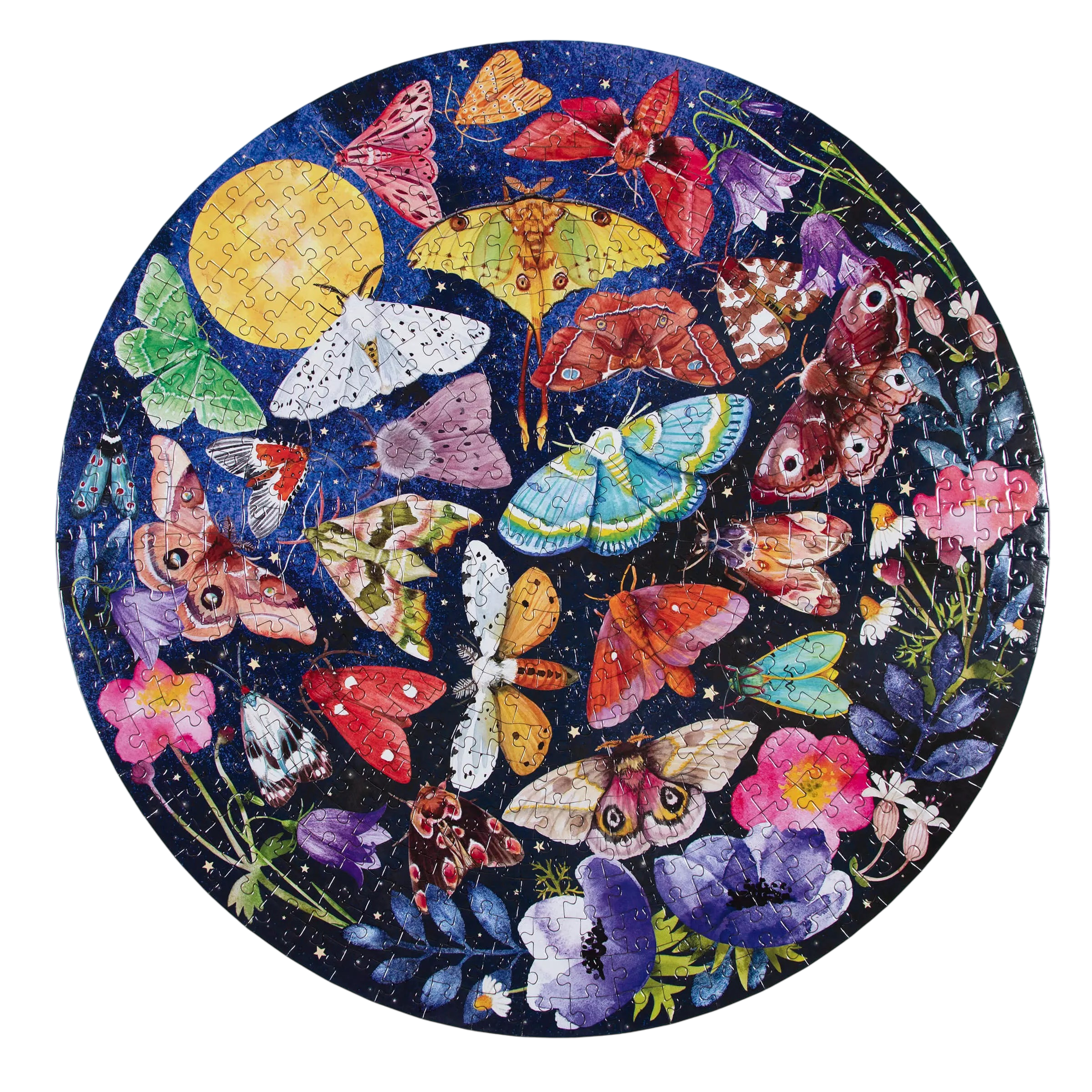 Puzzle Moths