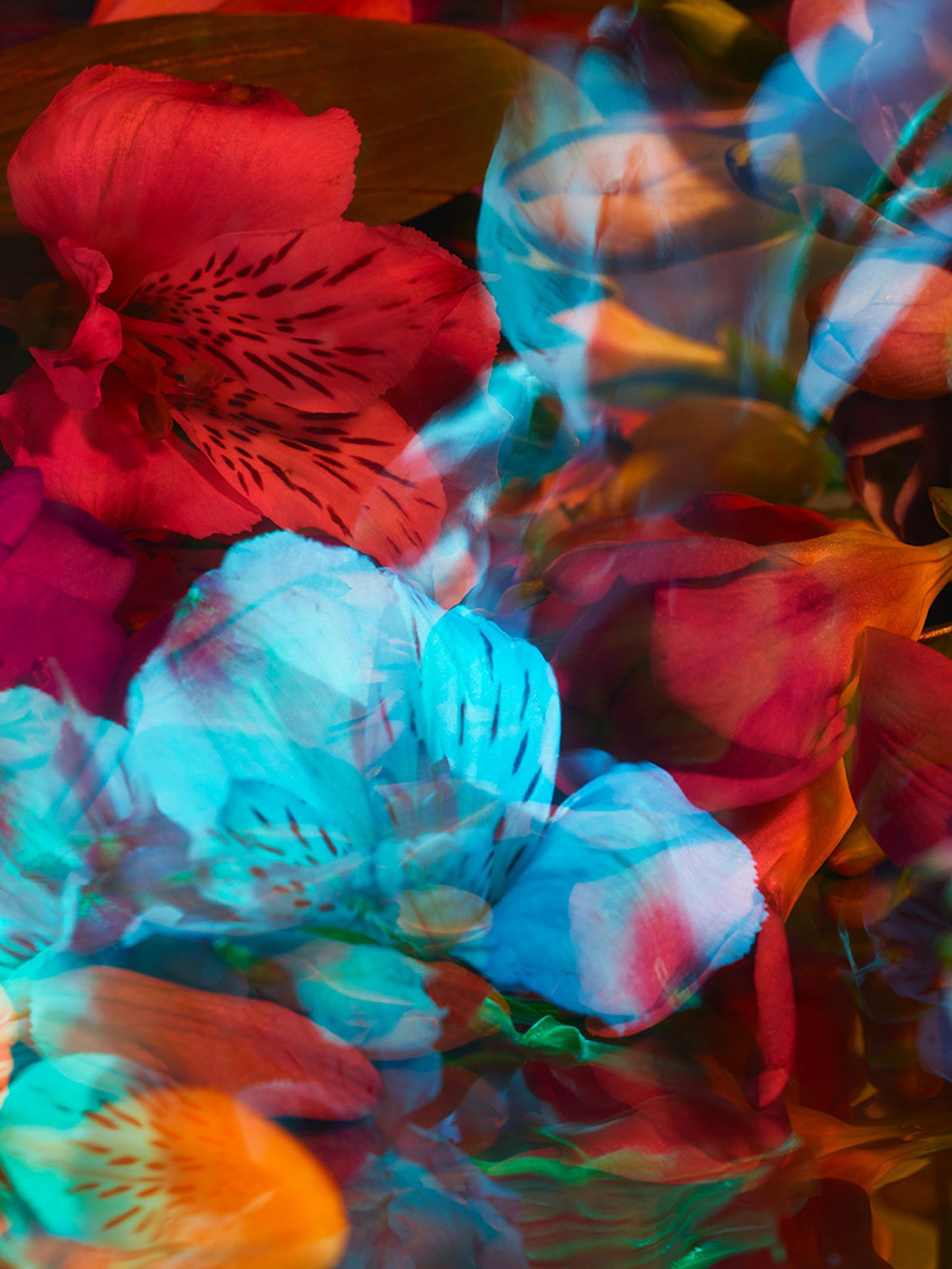 PARALLELS 31 by Andrea Zvadova - Limited Edition. Edition of: 150. Signed.