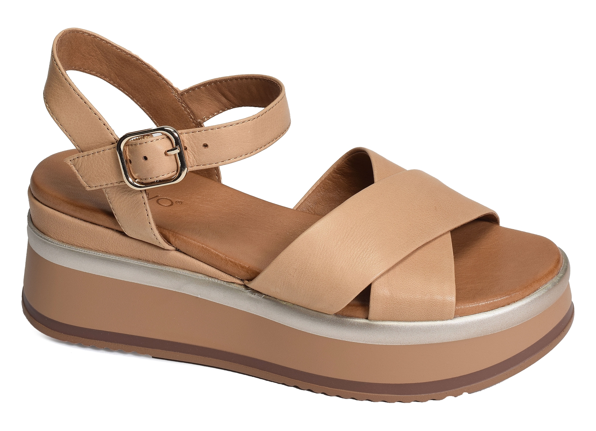 A98008 camel