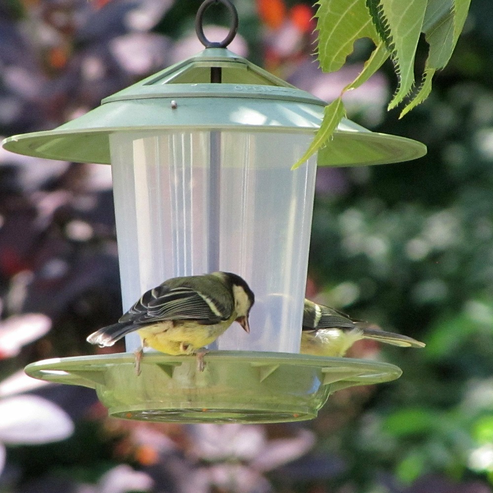 Mangeoire à oiseaux eco beacon