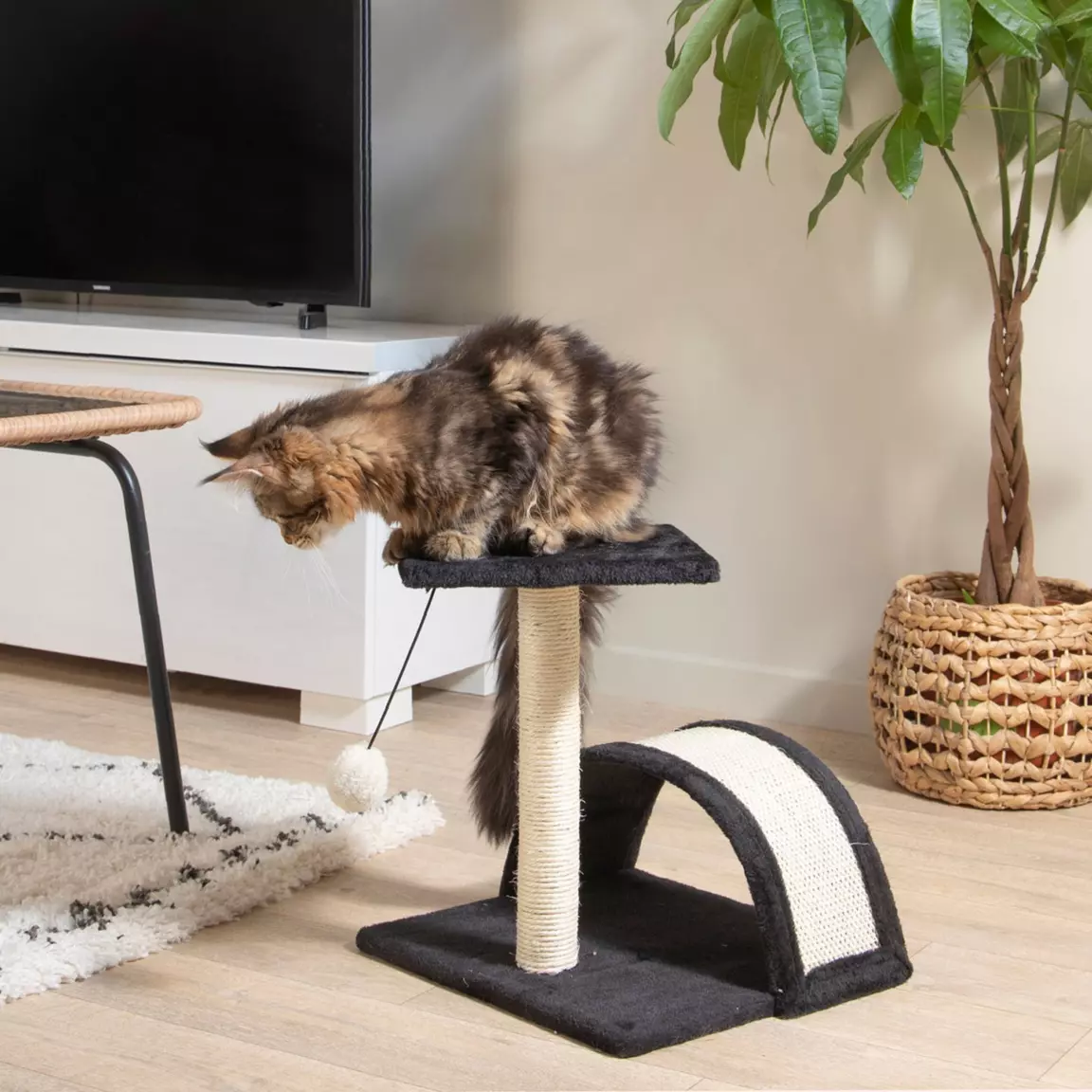 Arbre à chat avec jouet et tunnel Anthracite