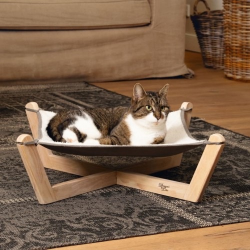 Rede para Gatos da Lotte, Multicolorida